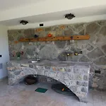 Tripalo * Šilo