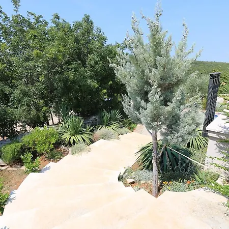 Tripalo * שילו